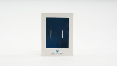 Contenitori di regalo del flat pack del cartone dell'avorio con chiara stampa di colore pieno della finestra dell'ANIMALE DOMESTICO