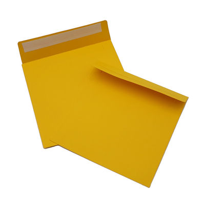 Striscia Matt Lamination Cardboard Envelopes della guarnizione di auto